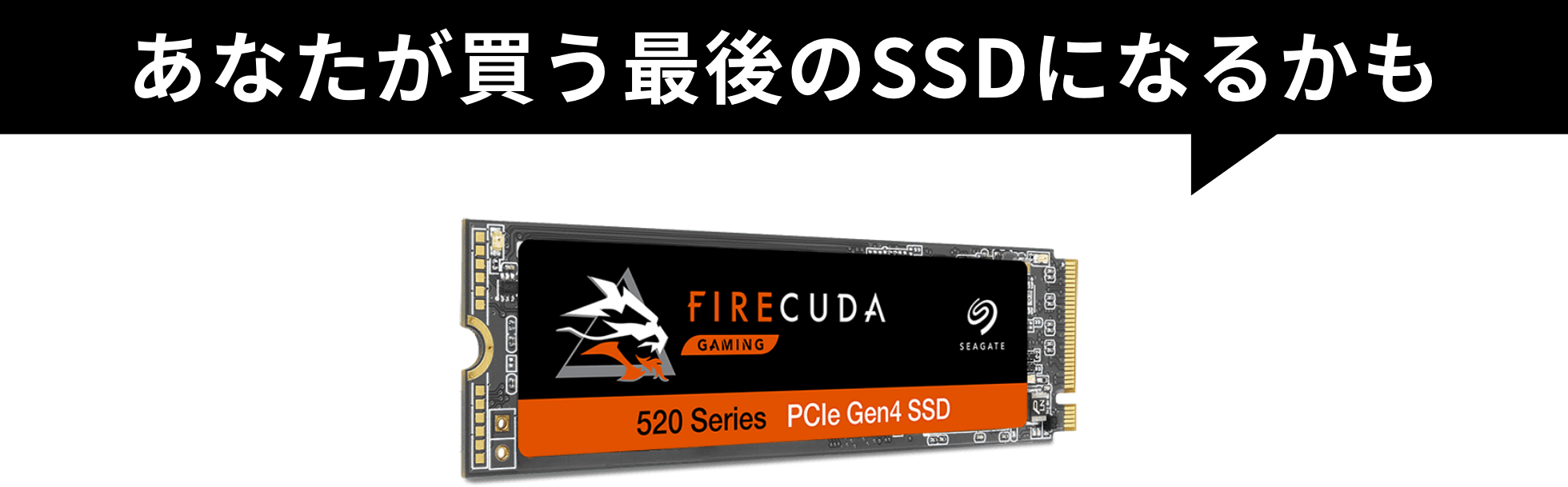 あなたが買う最後のSSDになるかも